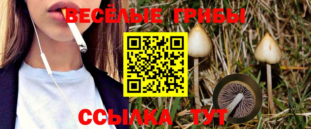 Галлюциногенные грибы Magic Shrooms Новозыбков