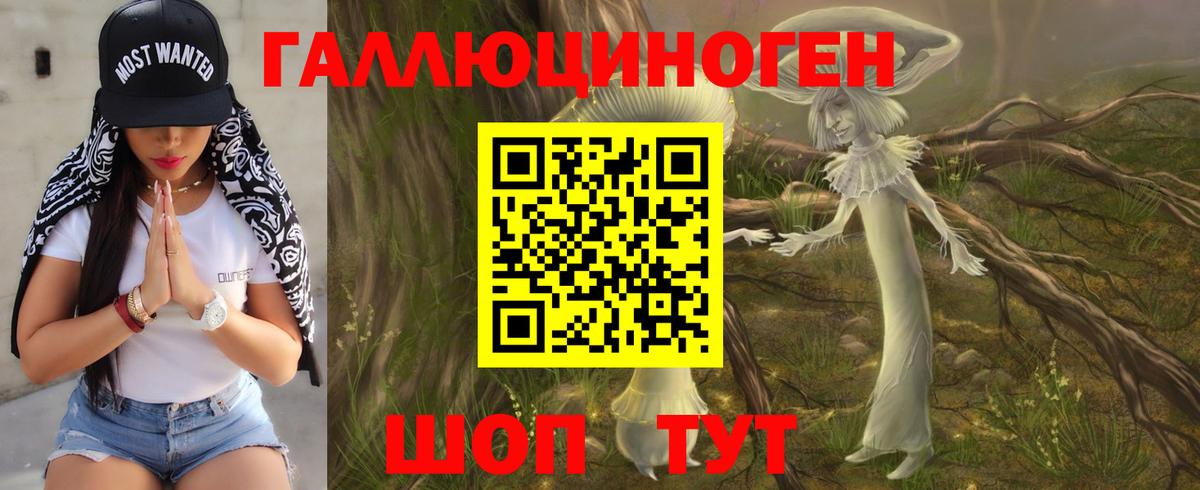 АМФЕТАМИН Новозыбков