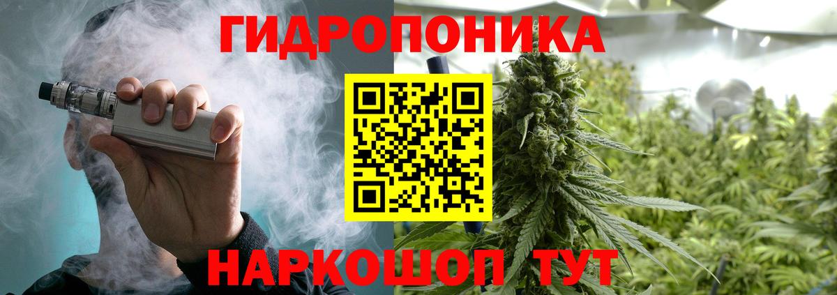 Шишки марихуана конопля Новозыбков